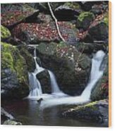 Twin Falls At Devils Glen Wood Print