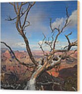 Grand Canyon Tree Wood Print