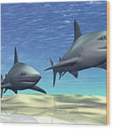 Two Sharks On Patrol Over A Sandy Reef Wood Print