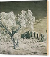 Vintage Monument Valley Desert Wood Print