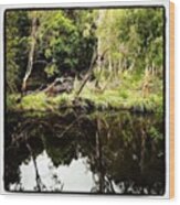 Waterpark Creek, Byfield #byfield Wood Print
