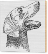 Weimaraner-drawing Wood Print