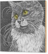 Whiskers - Color Tinted Art Print Wood Print