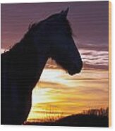 Wild Horse Sunset Wood Print