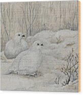 Willow Ptarmigans Wood Print