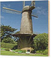 Windmill In Golden Gate Park Wood Print