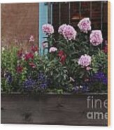 Window-box Flowers Wood Print