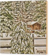 Winter Pine Wood Print