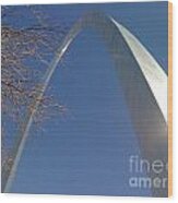 Winter St. Louis Arch Wood Print