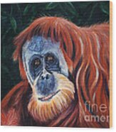 Wise One - Orangutan Wildlife Painting Wood Print