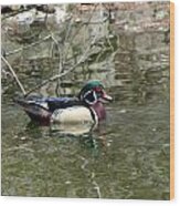 Wood Duck Wood Print