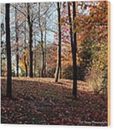 Woods In The Fall Wood Print