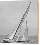 Yacht Shamrock In New York Harbor 1895 Bw Wood Print