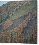 Yellowstone Fire, Path Of Forest Fire Wood Print