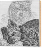 Yorkie - Yorkshire Terrier Dog Print Wood Print