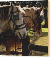 Carriage Ride Wood Print