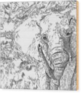 02 Of 30 Elephant Wood Print