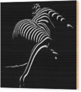 0773-ar Striped Zebra Woman Side View Abstract Black And White Photograph By Chris Maher Wood Print