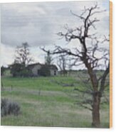 A Ghostly Tree Guards An Abandoned House At Bluestem #1 Wood Print