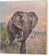 African Elephant Painting #1 Wood Print