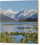 Alaska Coastal Landscape #3 Wood Print