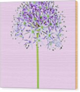 Allium #1 Wood Print