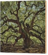 Angel Oak #1 Wood Print