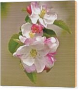 Apple Blossom #1 Wood Print