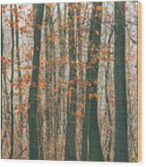 Autumn Forest #1 Wood Print