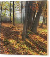 Autumn Shadows In The Blue Ridge Ap Wood Print