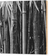 Bamboo Black And White #1 Wood Print