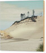Beach Dunes #1 Wood Print