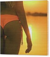Beaufitul Body Of A Girl's In Bikini With Summer Lake #1 Wood Print