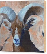 Bighorn Sheep #1 Wood Print