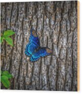 Blue Butterfly #1 Wood Print