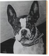 Boston Terrier #1 Wood Print