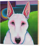 Bull Terrier #1 Wood Print