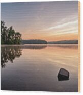 Burke Lake Reflection #1 Wood Print