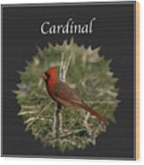 Cardinal    #1 Wood Print