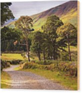 Celtic Spirit. Wicklow Mountains. Ireland #2 Wood Print