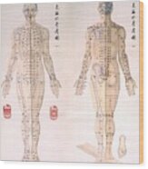 Chinese Chart Of Acupuncture Points #1 Wood Print