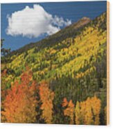 Colorado Autumn #1 Wood Print