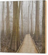 Congaree National Park #3 Wood Print
