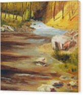 Cool Mountain Stream #1 Wood Print