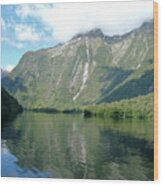 Doubtful Sound, New Zealand No. 3 Wood Print