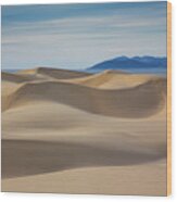 Dunes To The Sea #1 Wood Print