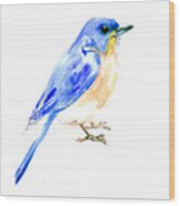 Eastern Bluebird #1 Wood Print