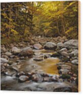 Fall On The Gale River #1 Wood Print