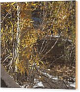 Fall Sierra Nevada Larry Darnell #1 Wood Print