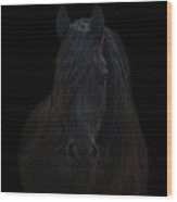 Frisian Stallion #3 Wood Print